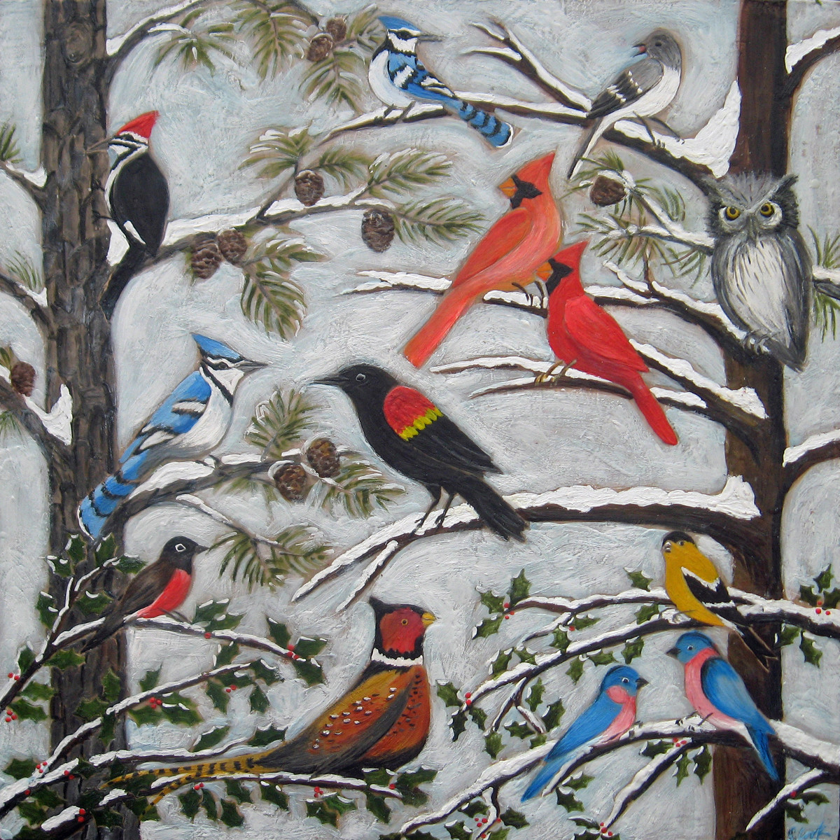 Sherry Cook's Winter Birds
